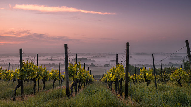 hss clara right technology640x360