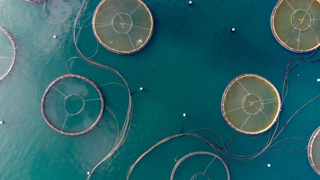 aquaculture.jpg
