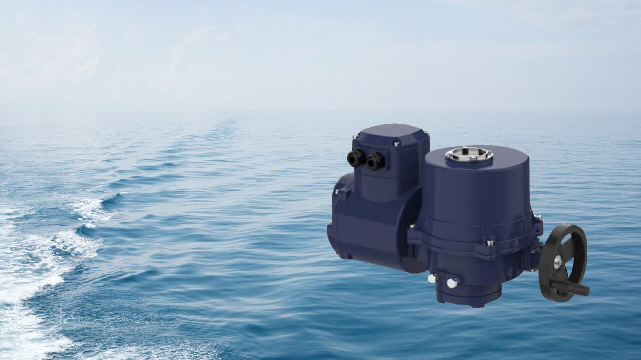 PureBallast valve for flow control in the ballast water management system